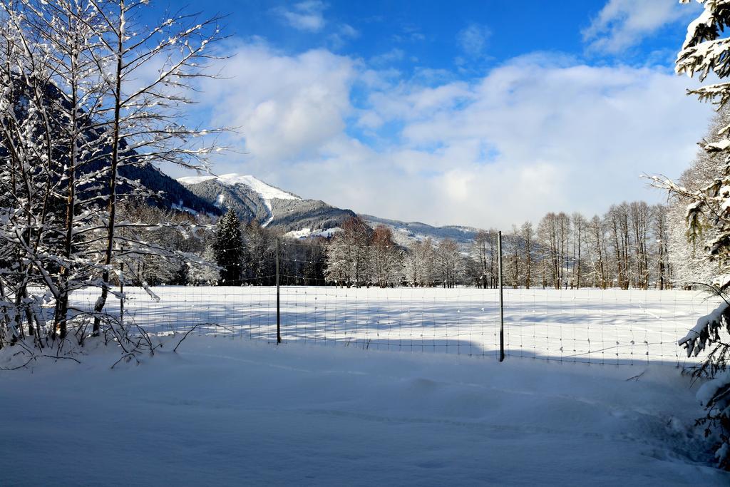 Appartement Prielau Zell am See Exterior photo